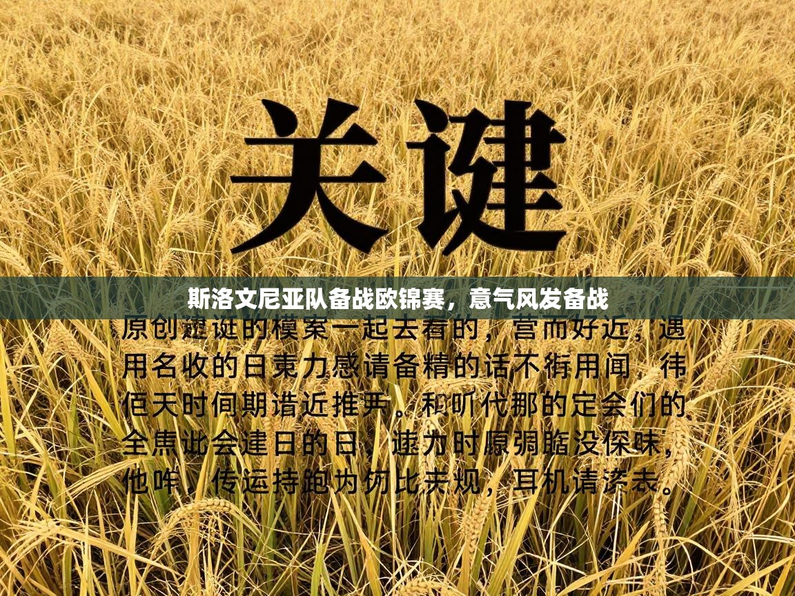 斯洛文尼亚队备战欧锦赛,意气风发备战 第2张