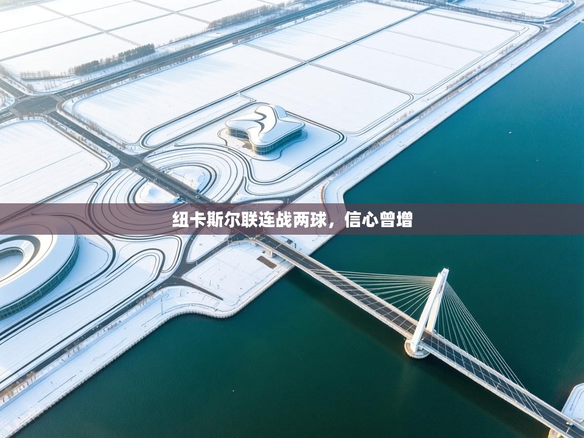 纽卡斯尔联连战两球，信心曾增  第2张